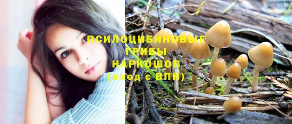 гидропоника Абдулино