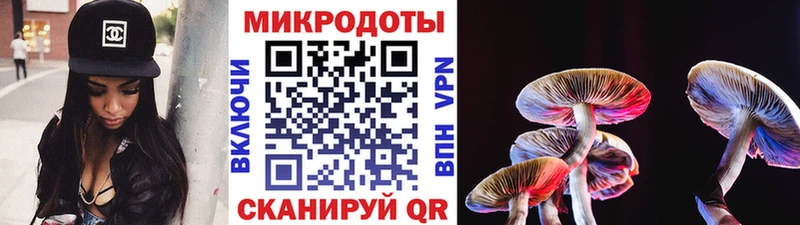 купить закладку кракен сайт Псилоцибиновые грибы Cubensis Рыльск